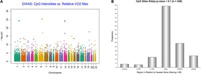 Aerobic Exercise Training-Induced Changes on DNA Methylation in Mild Cognitively Impaired Elderly African Americans: Gene, Exercise, and Memory Study - GEMS-I